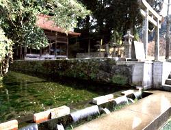 神社の横の水路から湧き出る水の写真